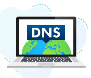 Domain Hosting